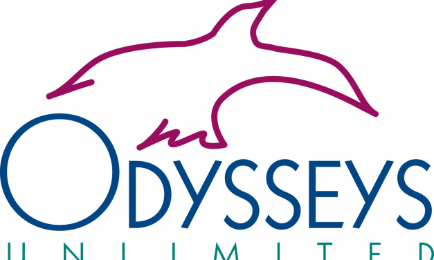 Travel the World with Odyssey’s Unlimited